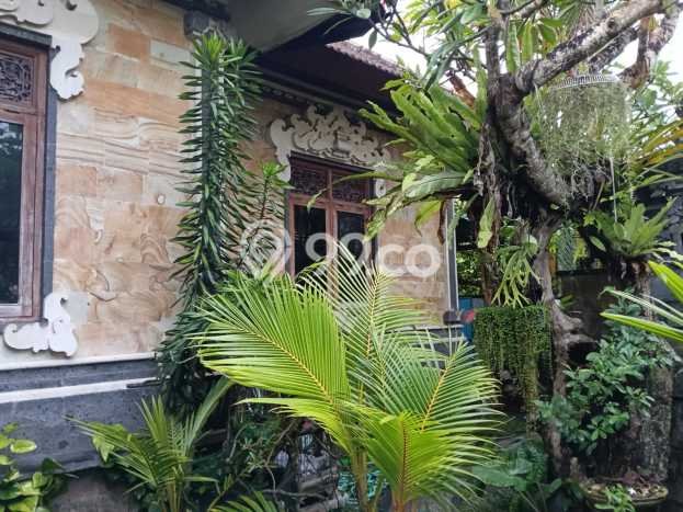 SPECIAL PROPERTY! Rumah di Denpasar Timur, LT 300m2m² LB 150m2m² SPECIAL PROPERTY! Rumah di Denpasar Timur, LT 300m2m² LB 150m2m²