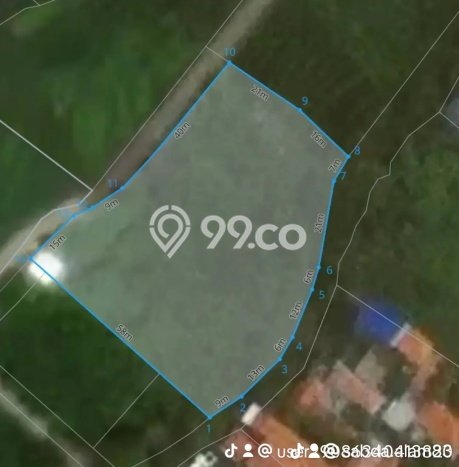 Jarang Ada! Tanah Kavling Disewakan di Badung 3600m2 Jarang Ada! Tanah Kavling Disewakan di Badung 3600m2