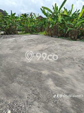 Tanah Disewakan Lokasi Pererenan Badung Luas 500m2 Tanah Disewakan Lokasi Pererenan Badung Luas 500m2