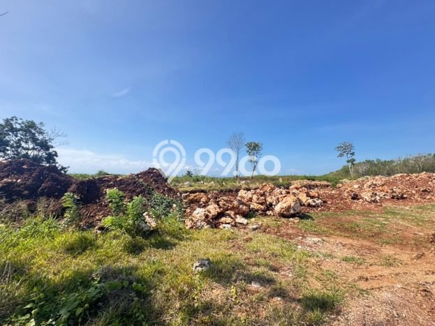 Tanah Disewakan Lokasi Badung Seluas 10000m2 Strategis dan Aman Tanah Disewakan Lokasi Badung Seluas 10000m2 Strategis dan Aman