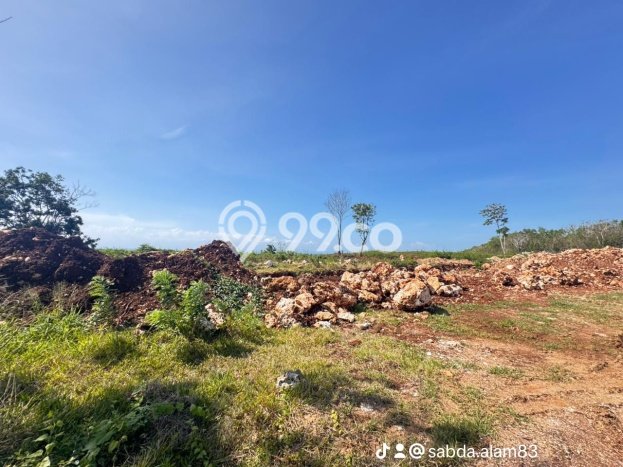 Tanah Disewakan Lokasi Badung Seluas 10000m2 Strategis dan Aman Tanah Disewakan Lokasi Badung Seluas 10000m2 Strategis dan Aman