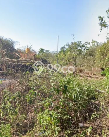 Disewakan Tanah di Badung, Luas 64000m2 Area Berkembang Disewakan Tanah di Badung, Luas 64000m2 Area Berkembang