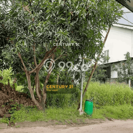 Tanah untuk Dijual Lokasi Lippo Cikarang, Cikarang Luas 222m2 SHM Tanah untuk Dijual Lokasi Lippo Cikarang, Cikarang Luas 222m2 SHM