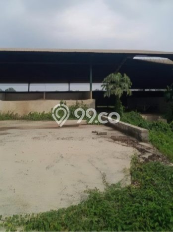 Untuk Dijual Gudang di Parung Panjang Bogor LT 21000m2 / LB 4000m2 Untuk Dijual Gudang di Parung Panjang Bogor LT 21000m2 / LB 4000m2