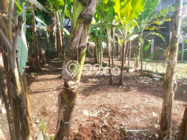 Tanah Kavling Dijual di Bekasi dengan Spesifikasi 989m2 Tanah Kavling Dijual di Bekasi dengan Spesifikasi 989m2