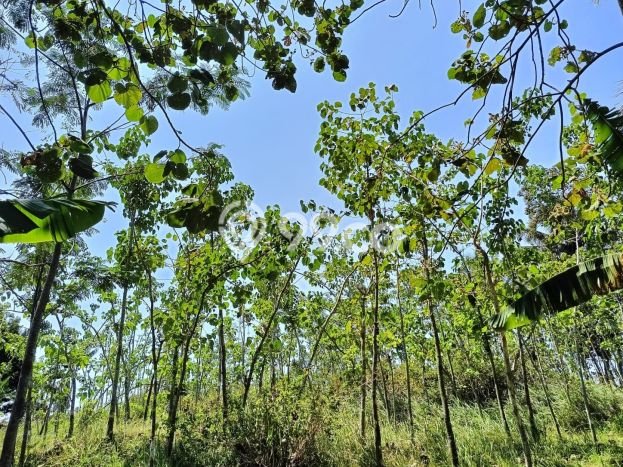 Lahan Kosong Dijual di Sumedang dengan Area 3225m2 Lahan Kosong Dijual di Sumedang dengan Area 3225m2