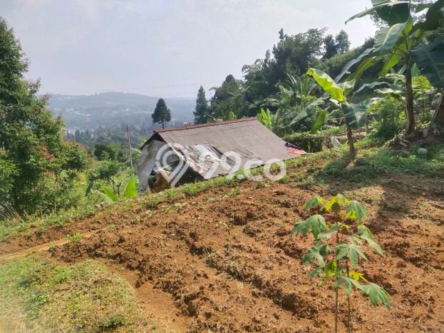 Tanah Strategis Dijual di Megamendung Bogor 7300m2 Tanah Strategis Dijual di Megamendung Bogor 7300m2