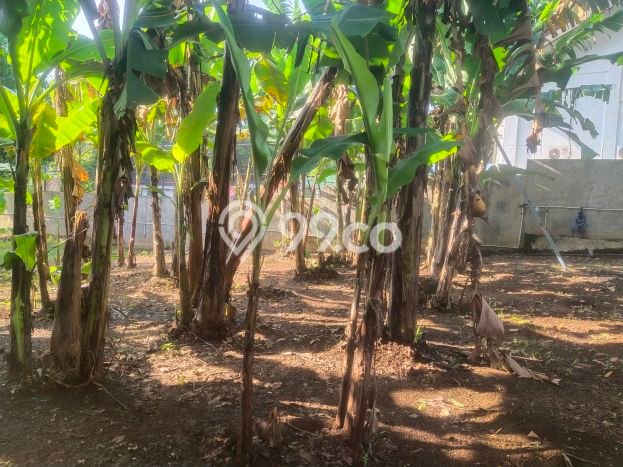 Tanah Kavling Dijual di Bekasi dengan Spesifikasi 989m2 Tanah Kavling Dijual di Bekasi dengan Spesifikasi 989m2