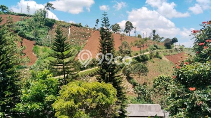 INVESTASI POTENSIAL! Vila Kawasan , Luas 3000m2m², Lingkungan Prima INVESTASI POTENSIAL! Vila Kawasan , Luas 3000m2m², Lingkungan Prima