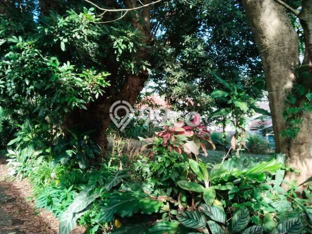 Tanah Disewakan Lokasi Bandung Seluas 702m2 Strategis dan Aman Tanah Disewakan Lokasi Bandung Seluas 702m2 Strategis dan Aman