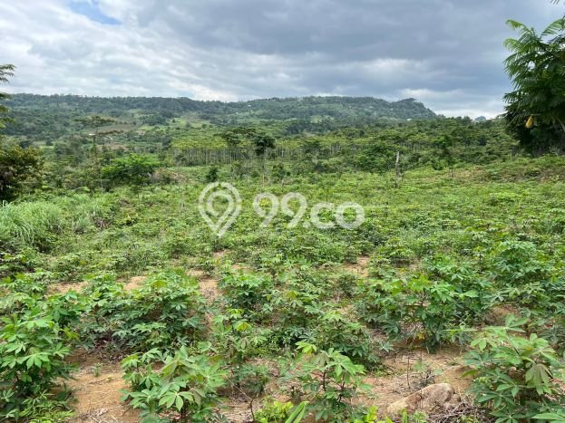 Tanah Kavling Dijual di Bekasi dengan Spesifikasi 90m2 Tanah Kavling Dijual di Bekasi dengan Spesifikasi 90m2