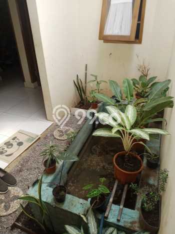 Jual Rumah Harga Miring Cibiru Punya 3 KT & LT 113m2 Jual Rumah Harga Miring Cibiru Punya 3 KT & LT 113m2
