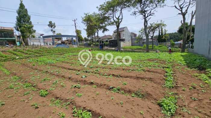 Tanah Kawasan Bisnis Kawasan Cihanjuang, Luas 130m², Cocok untuk Pengembangan Tanah Kawasan Bisnis Kawasan Cihanjuang, Luas 130m², Cocok untuk Pengembangan