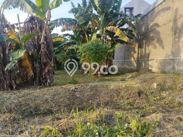 Tanah di Karawang Barat, Karawang Luas 180m2 Dijual Segera Tanah di Karawang Barat, Karawang Luas 180m2 Dijual Segera