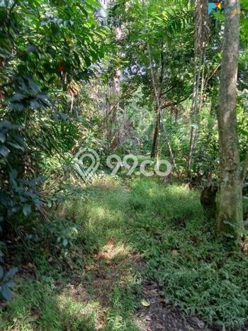 TANAH POTENSIAL! Tanah di Tambun Utara, Luas 23730m², Pinggir Jalan Raya TANAH POTENSIAL! Tanah di Tambun Utara, Luas 23730m², Pinggir Jalan Raya