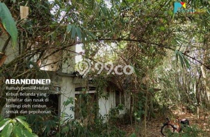 TANAH POTENSIAL! Tanah di Tambun Utara, Luas 23730m², Pinggir Jalan Raya TANAH POTENSIAL! Tanah di Tambun Utara, Luas 23730m², Pinggir Jalan Raya