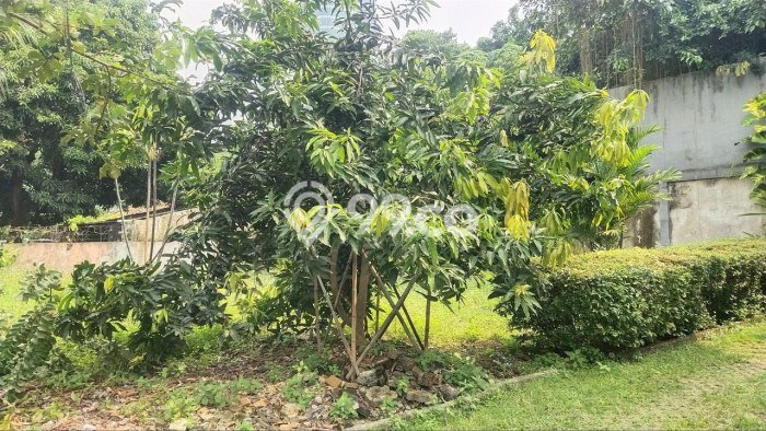 Kavling Tanah untuk Dijual di Gatot Subroto, Jakarta Selatan, Luas 614m2 Kavling Tanah untuk Dijual di Gatot Subroto, Jakarta Selatan, Luas 614m2
