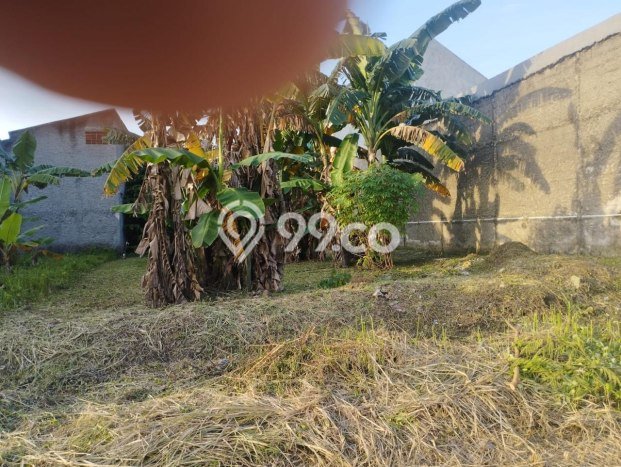 Tanah di Karawang Barat, Karawang Luas 180m2 Dijual Segera Tanah di Karawang Barat, Karawang Luas 180m2 Dijual Segera