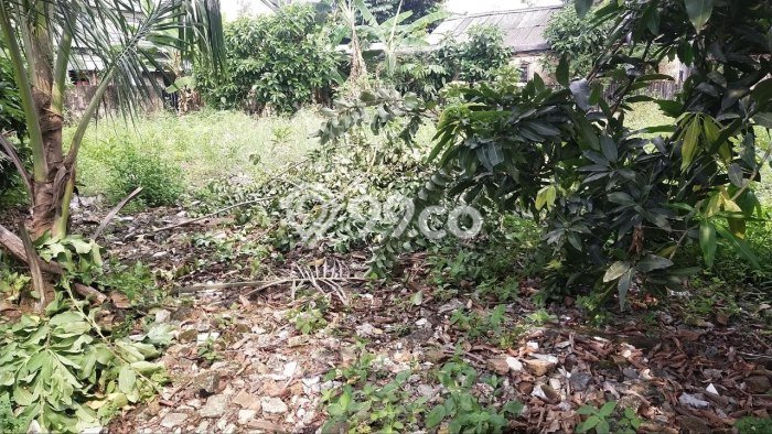 Kavling Tanah untuk Dijual di Gatot Subroto, Jakarta Selatan, Luas 614m2 Kavling Tanah untuk Dijual di Gatot Subroto, Jakarta Selatan, Luas 614m2