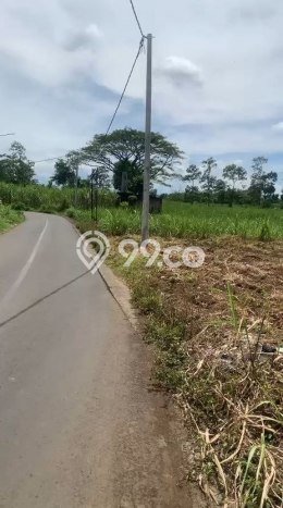 Jarang Ada! Tanah di Singosari Punya Luas 2125m2 SHM Jarang Ada! Tanah di Singosari Punya Luas 2125m2 SHM