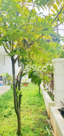 Rumah Luxury Modern Tanpa Renovasi di Bintaro Tangerang Selatan Rumah Luxury Modern Tanpa Renovasi di Bintaro Tangerang Selatan