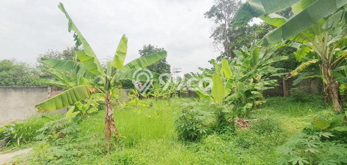 Rumah Luxury Modern Tanpa Renovasi di Bintaro Tangerang Selatan Rumah Luxury Modern Tanpa Renovasi di Bintaro Tangerang Selatan