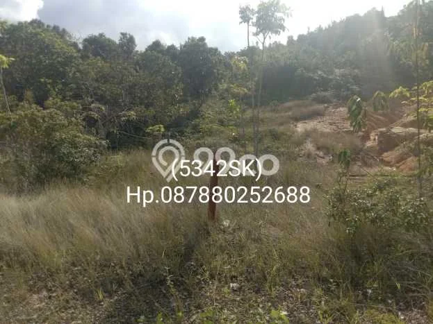 Tanah Kavling di Galang Dijual dengan Luas 240000m2 Tanah Kavling di Galang Dijual dengan Luas 240000m2