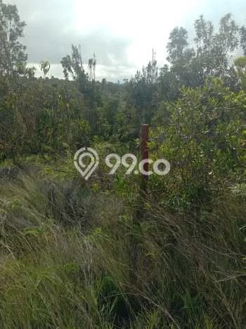 Tanah Kavling di Galang Dijual dengan Luas 240000m2 Tanah Kavling di Galang Dijual dengan Luas 240000m2