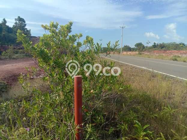Tanah Kavling di Galang Dijual dengan Luas 240000m2 Tanah Kavling di Galang Dijual dengan Luas 240000m2