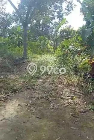 Tanah di Simpang Katis, Bangka Tengah Luas 18000m2 Dijual Segera Tanah di Simpang Katis, Bangka Tengah Luas 18000m2 Dijual Segera