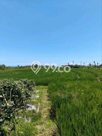 Tanah Area Berkembang di Klecung, Luas 2150m², Cocok untuk Investasi Tanah Area Berkembang di Klecung, Luas 2150m², Cocok untuk Investasi