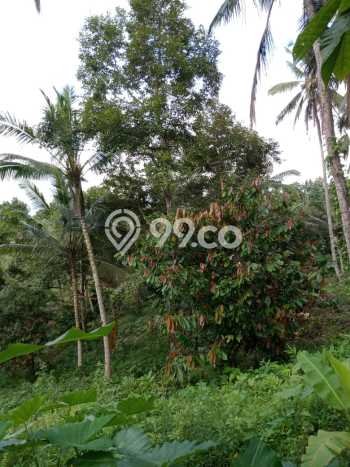 Tanah Kavling Dijual di Tabanan dengan Spesifikasi 17000m2 Tanah Kavling Dijual di Tabanan dengan Spesifikasi 17000m2