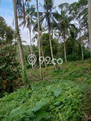 Tanah Kavling Dijual di Tabanan dengan Spesifikasi 17000m2 Tanah Kavling Dijual di Tabanan dengan Spesifikasi 17000m2