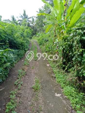 Tanah Kavling Dijual di Tabanan dengan Spesifikasi 17000m2 Tanah Kavling Dijual di Tabanan dengan Spesifikasi 17000m2