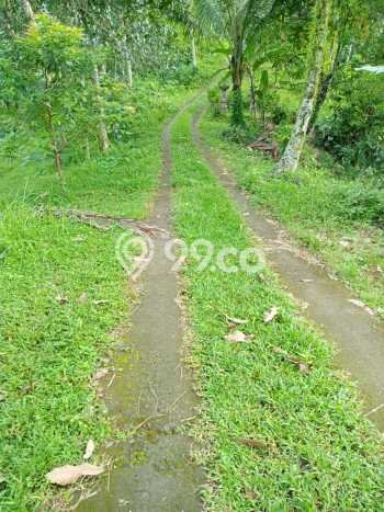 Tanah Kavling Dijual di Tabanan dengan Spesifikasi 17000m2 Tanah Kavling Dijual di Tabanan dengan Spesifikasi 17000m2