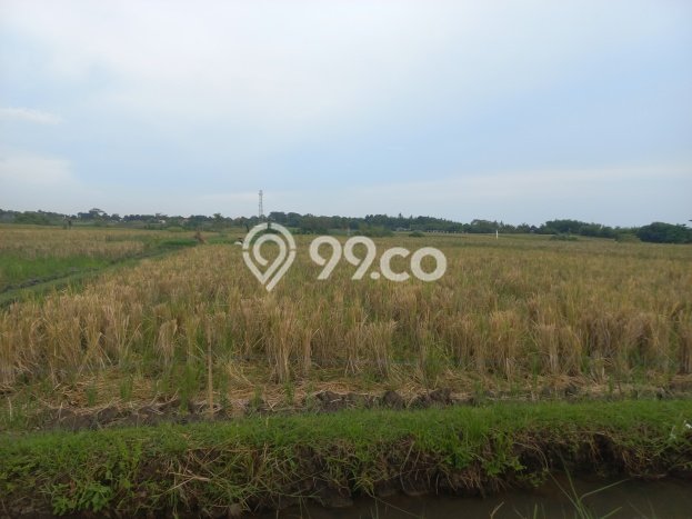 Lahan untuk Dijual di Kerambitan Tabanan Luas 1500m2 Lahan untuk Dijual di Kerambitan Tabanan Luas 1500m2