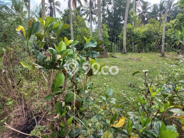 Dijual Tanah Lokasi Strategis Kawasan Selemadeg, Luas 2300m², Akses Selemadeg, Tabanan, Tabanan Dijual Tanah Lokasi Strategis Kawasan Selemadeg, Luas 2300m², Akses Selemadeg, Tabanan, Tabanan