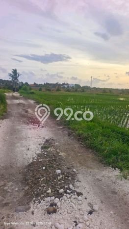 Untuk Dijual Tanah 1500m2 di Kelating, Tabanan Untuk Dijual Tanah 1500m2 di Kelating, Tabanan