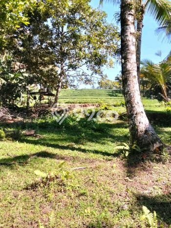 Tanah di , Luas 6100m2m², Area Potensial, Kawasan Asri, Bebas Banjir Tanah di , Luas 6100m2m², Area Potensial, Kawasan Asri, Bebas Banjir