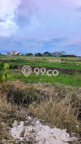 Tanah Dijual di Tabanan Seluas 1500m2 Strategis Tanah Dijual di Tabanan Seluas 1500m2 Strategis