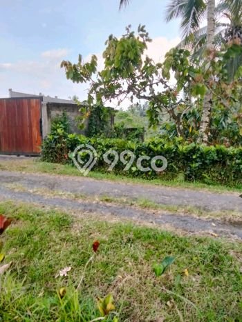 Lahan untuk Dijual Lokasi Selemadeg, Tabanan Luas 1400m2 SHM Lahan untuk Dijual Lokasi Selemadeg, Tabanan Luas 1400m2 SHM