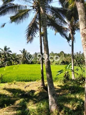 Tanah di , Luas 6100m2m², Area Potensial, Kawasan Asri, Bebas Banjir Tanah di , Luas 6100m2m², Area Potensial, Kawasan Asri, Bebas Banjir