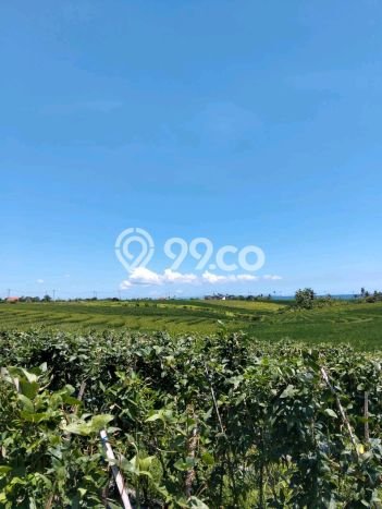 Tanah Area Berkembang di Klecung, Luas 2150m², Cocok untuk Investasi Tanah Area Berkembang di Klecung, Luas 2150m², Cocok untuk Investasi