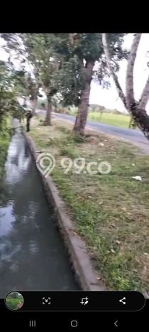 Untuk Dijual Tanah di Tabanan, Luas 1000m2 SHM Untuk Dijual Tanah di Tabanan, Luas 1000m2 SHM
