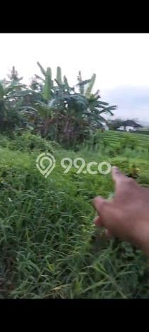 Untuk Dijual Tanah di Tabanan, Luas 1000m2 SHM Untuk Dijual Tanah di Tabanan, Luas 1000m2 SHM