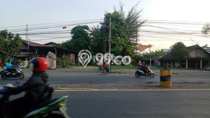Tanah Dijual Lokasi Kraton, Pasuruan Luas 7600m2 Legalitas Aman Tanah Dijual Lokasi Kraton, Pasuruan Luas 7600m2 Legalitas Aman