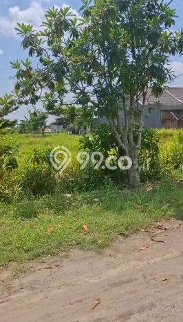 PRIME LOCATION! Tanah di Tembalang, Luas 597m2m², Ideal untuk Investasi PRIME LOCATION! Tanah di Tembalang, Luas 597m2m², Ideal untuk Investasi