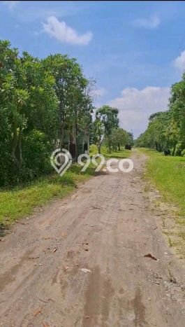 PRIME LOCATION! Tanah di Tembalang, Luas 597m2m², Ideal untuk Investasi PRIME LOCATION! Tanah di Tembalang, Luas 597m2m², Ideal untuk Investasi