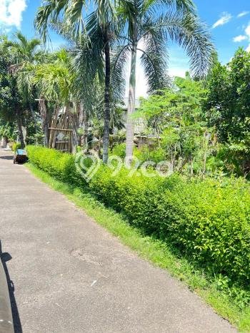 Tanah Kavling Dijual di Jakarta Barat dengan Spesifikasi 1550m2 Tanah Kavling Dijual di Jakarta Barat dengan Spesifikasi 1550m2