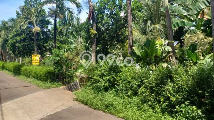 Tanah Kavling Dijual di Jakarta Barat dengan Spesifikasi 1550m2 Tanah Kavling Dijual di Jakarta Barat dengan Spesifikasi 1550m2